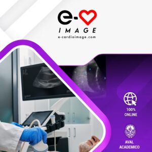 Mini Master de Ecografía Pulmonar